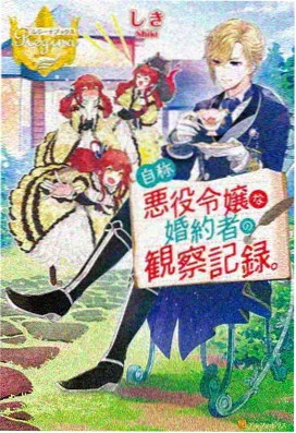 落魄贵族琉璃川超清版